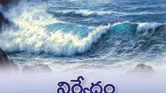 తత్వసాగర మథనం- ‘నిర్వేదం’ నవల