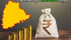 తెలంగాణ బడ్జెట్ సైజు పెరిగింది,  డైరెక్షన్ లేదు...