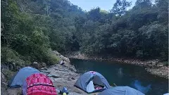 అడవిలో ఉన్నట్లుండి ఎదురుగా ఏనుగు ప్రత్యక్షమైతే...