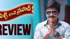 సప్తగిరి పెళ్లికాని ప్రసాద్‌’ మూవీ రివ్యూ