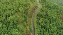 తెలంగాణలో పచ్చదనం పెరిగింది, సోషియో ఎకనామిక్ నివేదిక వెల్లడి