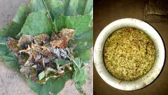 అక్కడ చీమలే పరమాన్నం!