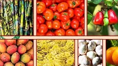 తెలంగాణ పంట ఉత్పత్తులకు కేంద్ర పరిశ్రమల శాఖ గుర్తింపు