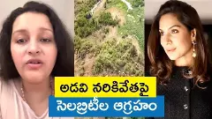 హెచ్సీయూ వివాదంలో తలదూర్చిన సెలబ్రిటీలు