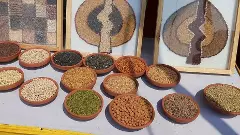 మట్టిగోడల మధ్య అరుదైన ‘బ్యాంకు’: మాచునూర్‌ సీడ్ బ్యాంక్