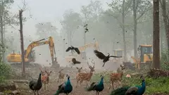 గాజా నుంచి గచ్చిబౌలి దాకా వాడికి నీ భూమి కావాలి...