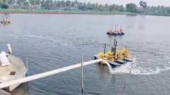 క్రాప్ హాలిడే ఆలోచనలో రొయ్యల రైతులు