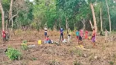 తెలంగాణలో 12 లక్షల ఎకరాల అడవి అంతర్థానం, ఏమైందంటే?