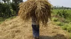 భూములను లాక్కోవడమే కానీ, ప్రభుత్వాలకు భూసంస్కరణల అమలు ఊసే లేదు