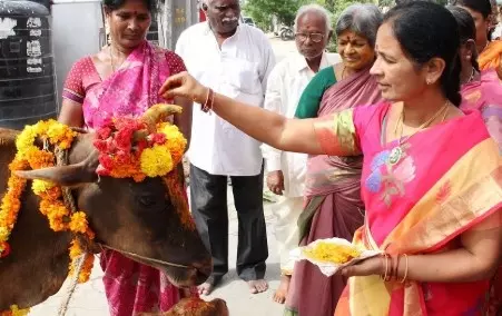 తిరుమల గోశాలలో వందలాది గోవులు చనిపోయాయా? తిరుమల గోశాలలో వందలాది గోవులు చనిపోయాయా?