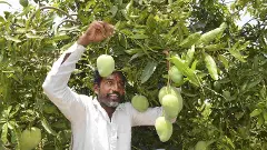 అనగనగా ఒక ఊరు, దాని పేరు ‘ఫ్రూట్‌ ఫారం’