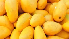 మార్కెట్లోకి దొంగ మామిడి పళ్లు’ వస్తున్నాయ్, జాగ్రత్త