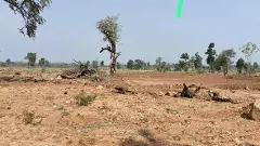 కారడవి నుంచి కడెం శివార్లకు..పులుల కోసం అటవీ గ్రామాల తరలింపు