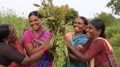 కళ్లెదుటే కుప్పకూలుతున్న దక్కన్ డెవెలప్మెంట్ సొసైటీ...