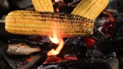 కాన్గిరీ బడి ప్రారంభం, బోధన ఒక సంబురం