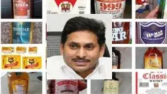 జగన్ బ్రాండ్లు జనం నవనాడుల్నీ గుల్లచేశాయా?