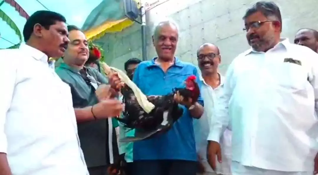 గంగమ్మకు కమ్యూనిస్టు నారాయణ కోడి నైవేద్యం గంగమ్మకు కమ్యూనిస్టు నారాయణ కోడి నైవేద్యం