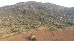 బోడికొండలు హరిత దీవులుగా ఎలా మారాయి?