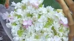 ఆ..మల్లెలమ్మే వాడు!