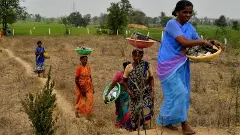 సోనియాగాంధీకి ఇష్టమైన పథకానికి తెలంగాణలో తూట్లు