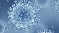 కరోనా వైరస్ తాజా అవతారం JN.1 ...నిజంగా ప్రమాకరమైనదా?