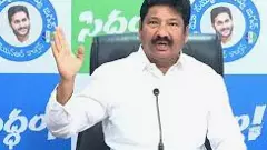 జోగి రమేశ్ కి అగ్రిగోల్డ్ చిక్కులు, రంగంలోకి సీఐడీ