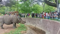 నెహ్రూ జూపార్కు రికార్డ్ @ ఒకేరోజు 24 వేల మంది సందర్శకులు