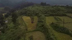 ఏడాదంతా ఆదాయం ఇచ్చే జీవవైవిధ్య సేద్యం !