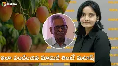 ఇలా పండించిన మామిడి తింటే మటాష్