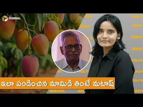 ఇలా పండించిన మామిడి తింటే మటాష్