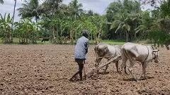 తెలంగాణలో 10 శాతం అధికంగా వర్షాలు, పెరగనున్న సాగు విస్తీర్ణం