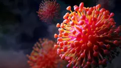 తెలంగాణలో మూడు కోవిడ్ పాజిటివ్ కేసులు, కరోనావ్యాప్తిపై కంగారు పడొద్దు