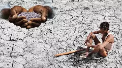 తెలంగాణ రాష్ట్ర విత్తన చట్టం ఎలా ఉండాలి ?