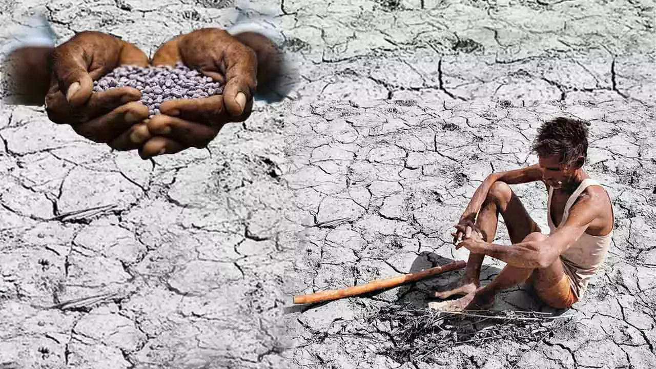 తెలంగాణ రాష్ట్ర విత్తన చట్టం ఎలా ఉండాలి ?