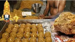 Tirumala Laddu | టీటీడీ మాజీ పెద్దలపై సీబీఐ సిట్ ఫోకస్