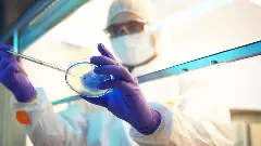 చైనా వ్యవసాయ ఉగ్రవాదానికి పాల్పడుతోందా?