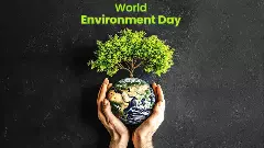 పచ్చని తెలంగాణ ఎక్కడ?