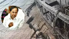 రాజకీయ పెద్దలంతా దూరి మేడిగడ్డను ముంచేశారు