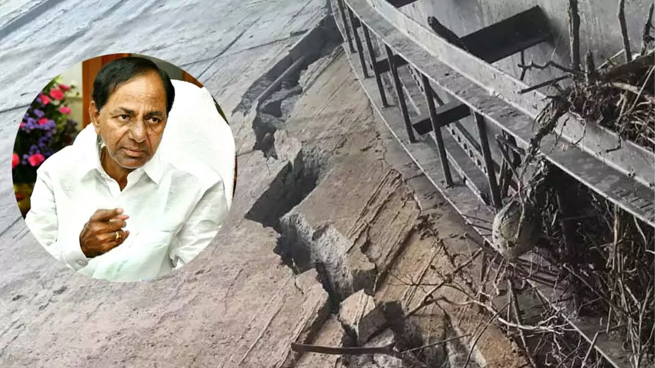 రాజకీయ పెద్దలంతా దూరి మేడిగడ్డను ముంచేశారు రాజకీయ పెద్దలంతా దూరి మేడిగడ్డను ముంచేశారు