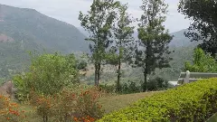 అనంతగిరి హిల్స్ అందాలు ఆస్వాదించాలనుకుంటున్నారా...