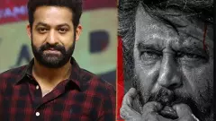 రజనీ  ‘కూలీ’ బిజినెస్‌కి ఎన్టీఆర్  బ్రేక్ వేస్తున్నాడా?