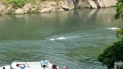 గోదావరిలో ముణిగి  ఐదుగురు మృతి,పొన్నం సంతాపం