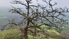 సహ్యాద్రి కొండల్లో రాజమాచి కి ట్రెక్