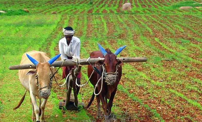 తెలంగాణ విత్తన బిల్లు సాధ్యమయ్యేనానా ? తెలంగాణ విత్తన బిల్లు సాధ్యమయ్యేనానా ?