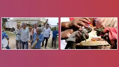 వర్షాల కోసం కరీంనగర్ లో కప్పల పెళ్లి