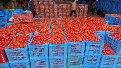 MADANAPALLI |టమాటపై యుద్ధమేఘాాల ప్రభావం ఎంత?