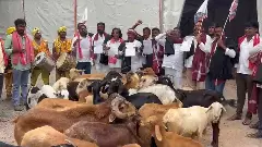 బర్రెలు, గొర్రెలతో నిండిన గాంధీభవన్..