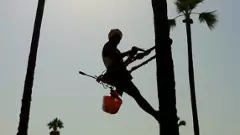 ఒక ఉపాధ్యాయుని జీవిత ప్రయాణం