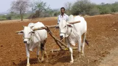 మహబూబ్ నగర్ జిల్లా విషాదం