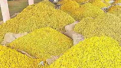 ఆర్భాటం అధికం...ఆదుకునేది శూన్యం, ఇదీ పసుపుబోర్డు తీరు